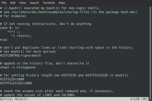default_ppager_instance